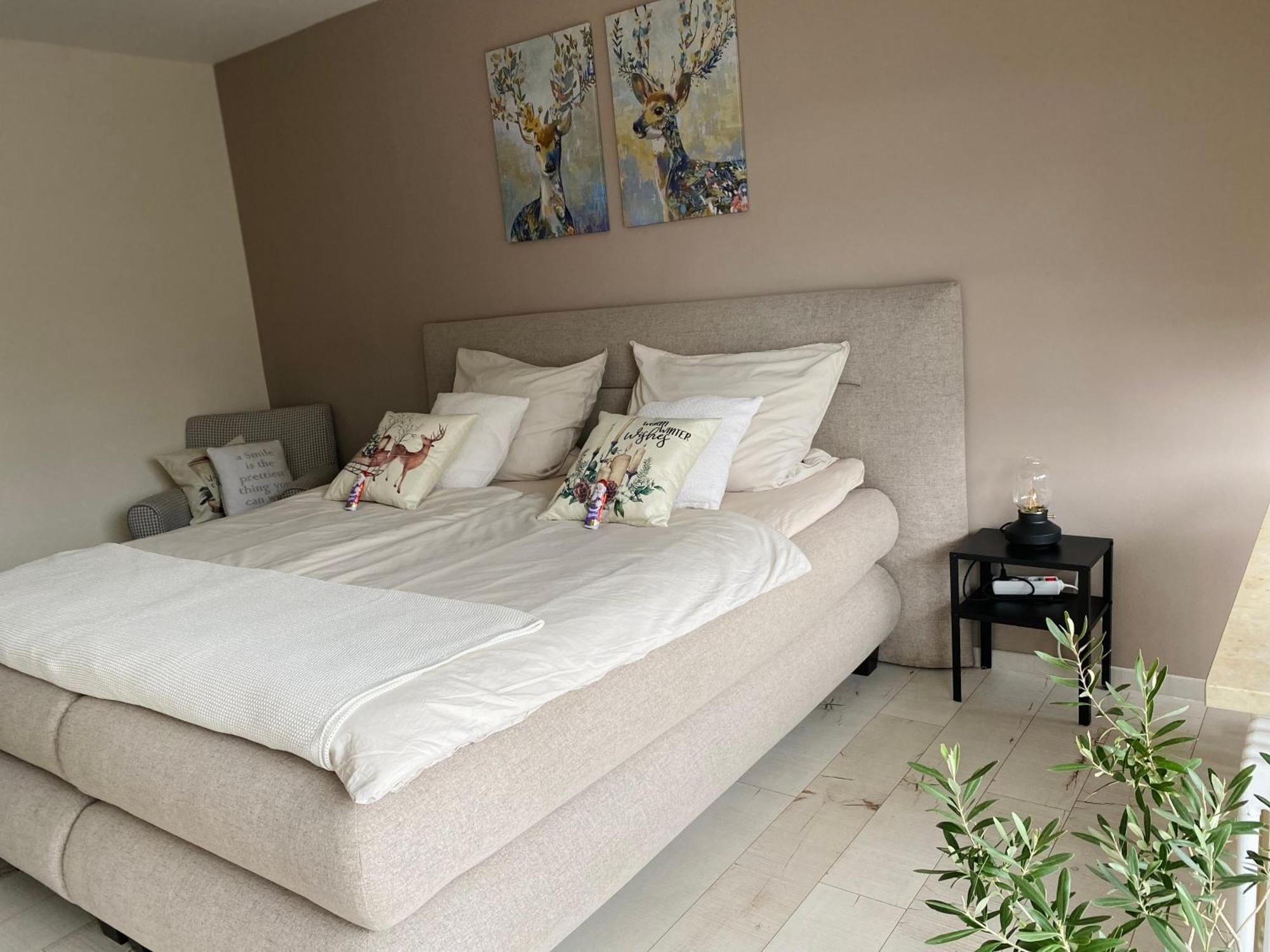Zentrales Privatapartment 巴特洪堡 外观 照片