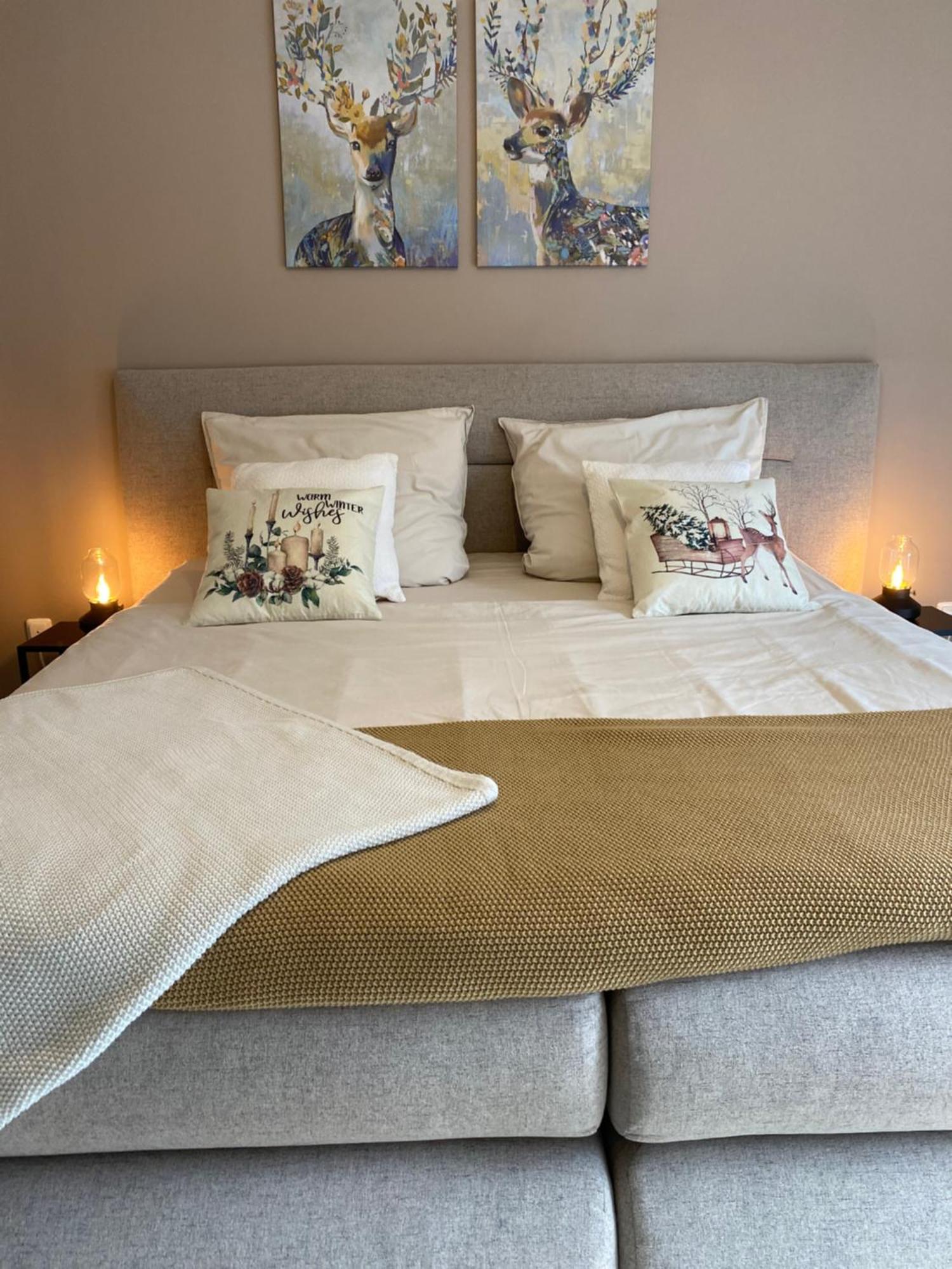 Zentrales Privatapartment 巴特洪堡 外观 照片
